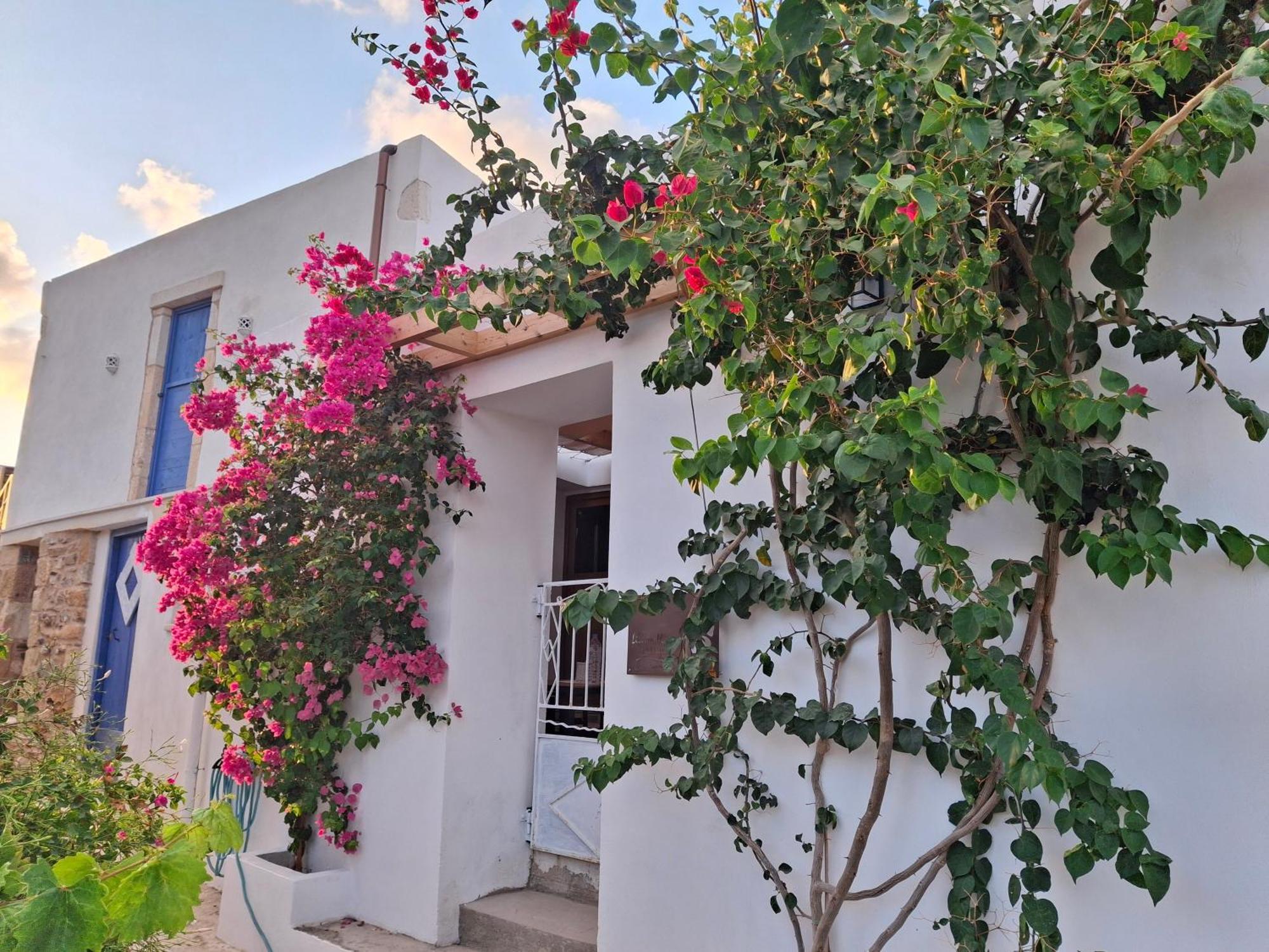 Lilium House Palekastro Apartman Kültér fotó